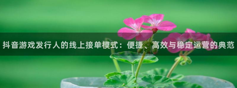 广州bbin视讯网络科技有限公司电话：抖音游戏发行人的线上接单模式：便捷、高效与稳定运营的典范