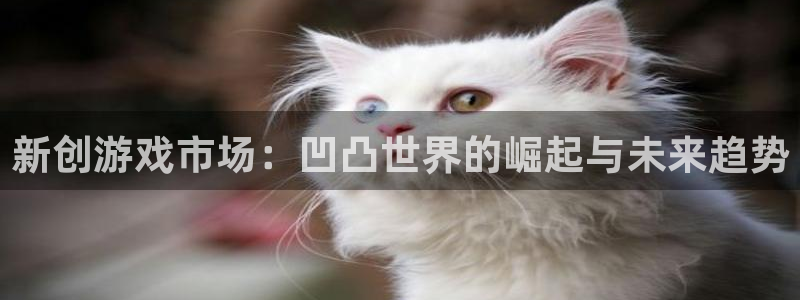 东莞bbin视讯信息科技有限公司：新创游戏市场：凹凸世界的崛起与未来趋势