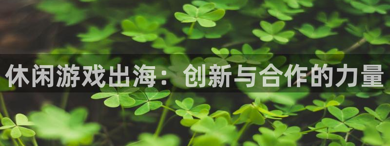 bbin视讯烟照片