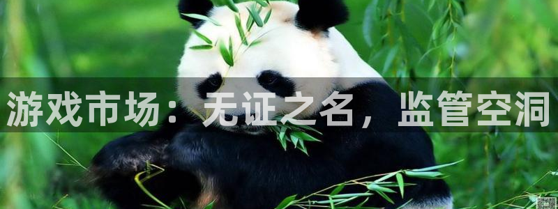 bbin视讯子文化是干什么的