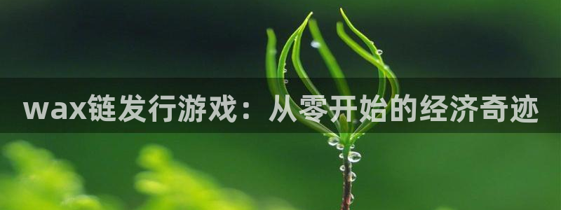 bbin视讯子经理人读后感