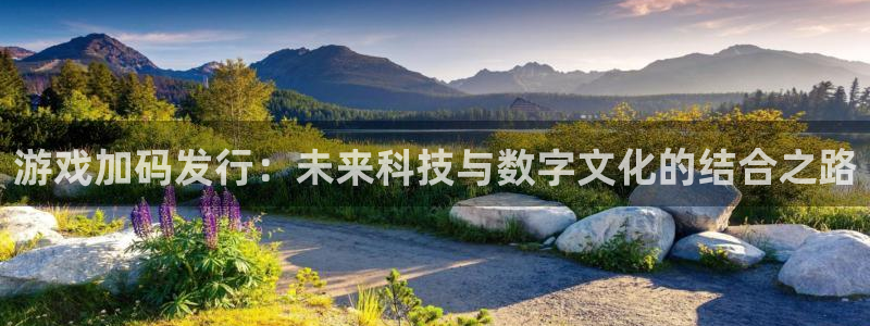 bbin视讯官网解绑银行卡怎么弄：游戏加码发行：未来科技与数字文化的结合之路