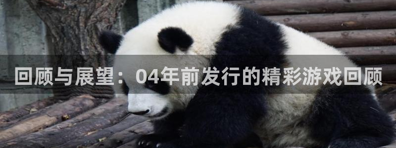 bbin视讯子寓意：回顾与展望：04年前发行的精彩游戏回顾
