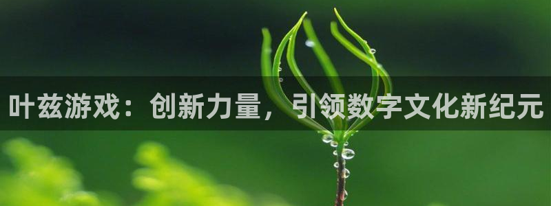 佛山bbin视讯电子商务：叶兹游戏：创新力量，引领数字文化新纪元