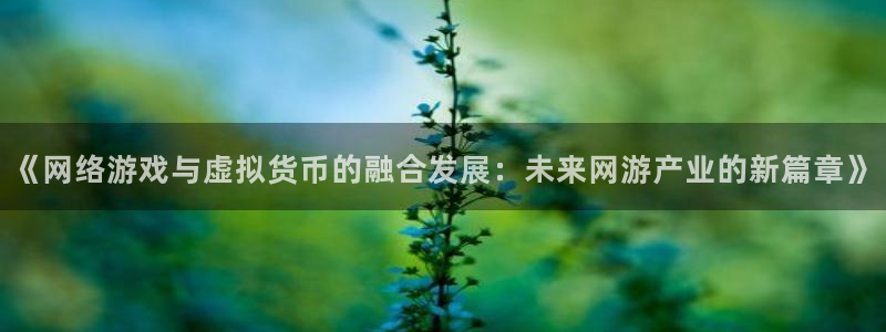 bbin视讯官网注册方法是什么样的：《网络游戏与虚拟货币的融合发展：未来网游产业的新篇章》