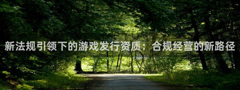 bbin视讯官网注册平台怎么注册的：新法规引领下的游戏发行资质：合规经营的新路径