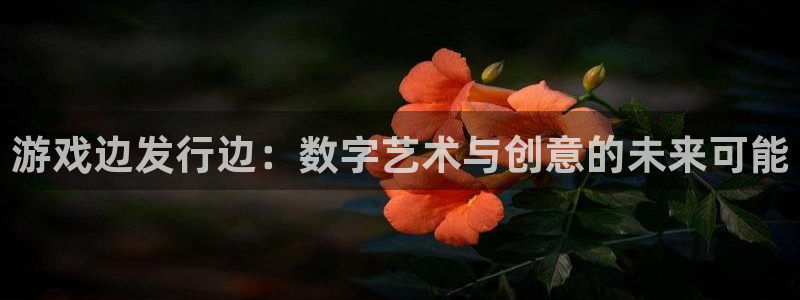 bbin视讯官网游戏