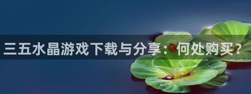 bbin视讯是什么品牌